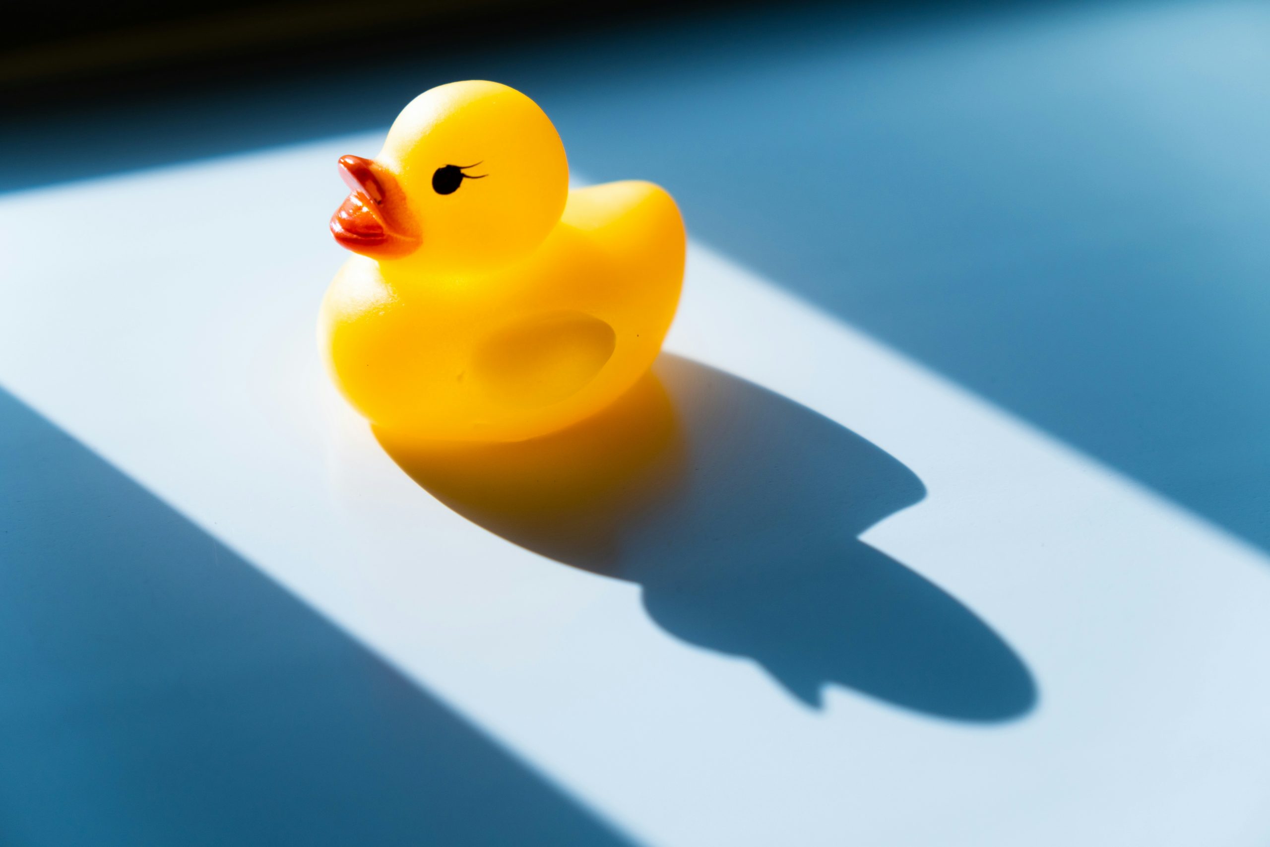 s-tsuchiya-_WjhfEzRDak-unsplash